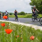 לינה וארוחת בוקר Dobosi Birtokkoezpont Szentantalfa